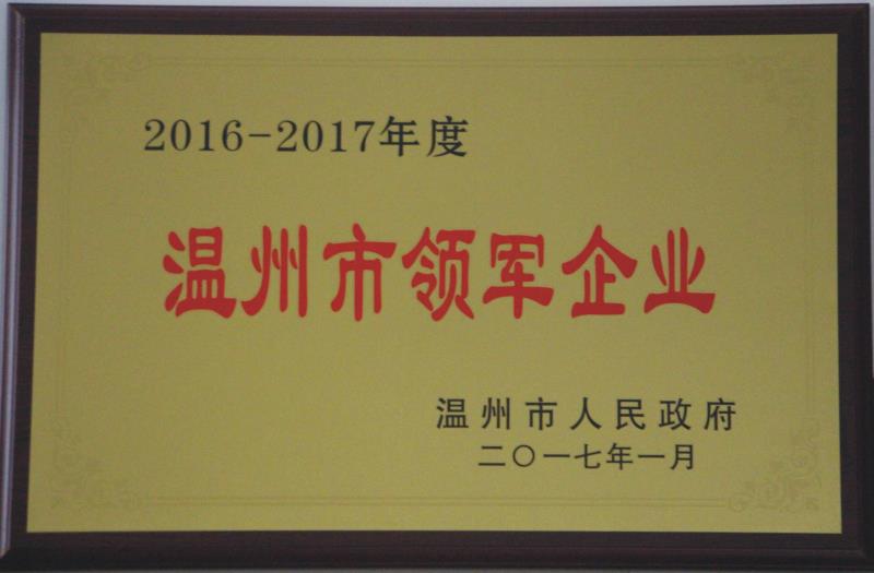 2017年温州市领军企业